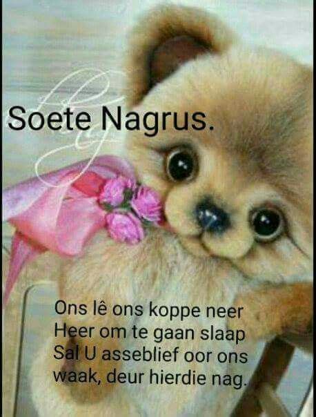 Soete Nagrus Vir Almal Goeie Nag Special Quotes Good Night Messages