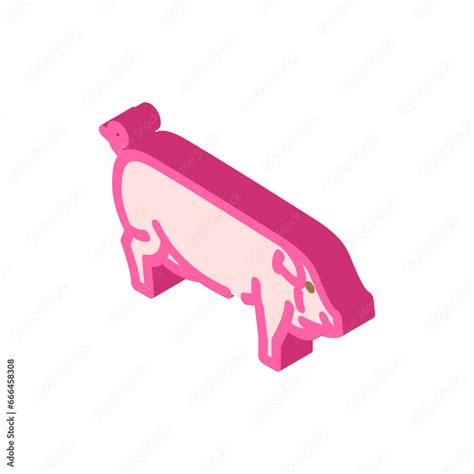 Landrace Pig Breed Isometric Icon Vector Landrace Pig Breed Sign