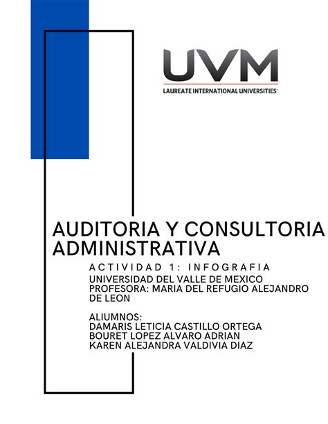 A1 Infografia Audit AUDITORIA Y CONSULTORIA ADMINISTRATIVA