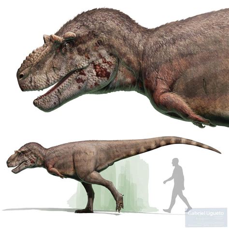 Dinosaur Art Gabriel U Illustrations