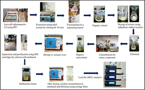 Steps Of Sample Preparation For Hplc Characterization Of Phenolic