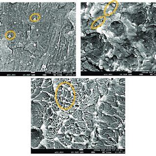 FE SEM Micrographs Of Films Showing Dispersion And Range Of Size Of