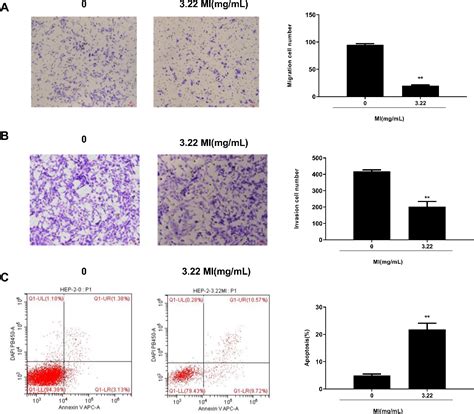 Figure From Magnesium Isoglycyrrhizinate Induces An Inhibitory Effect