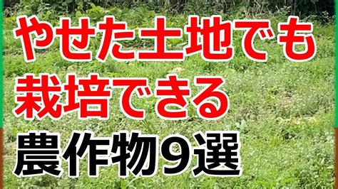 農林水産省「耕作放棄地への導入作物事例」より痩せた土地でも栽培できる農作物9選 Youtube