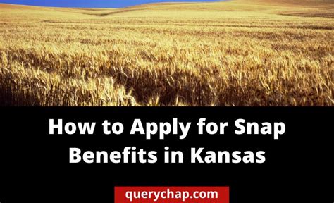 How To Apply For Snap Benefits In Kansas All You Should Know Querychap