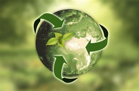 sustainable custom packaging  urgent requirement  packaging