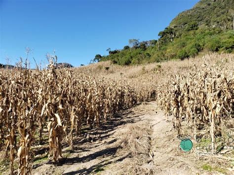 Excelente sítio para Pousada e construção de chalés em Alfredo Wagner SC