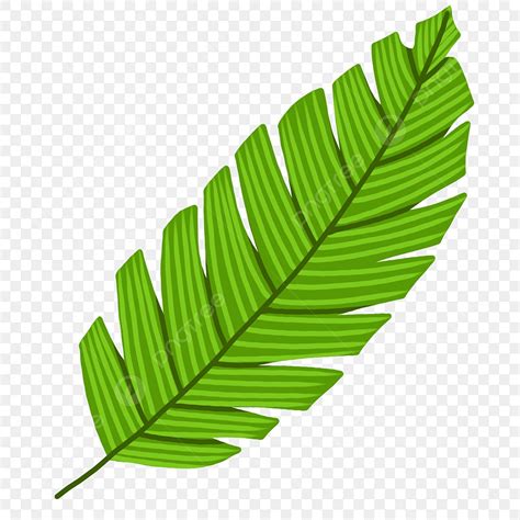 Green Palm Leaf Clipart Png Images Palm Leaf Clipart Cartoon Style