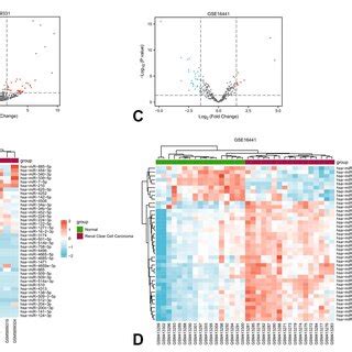 Identification Of Common Differential Mirnas A Venn Diagram Of