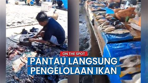 Kondisi Pelelangan Ikan Di Paotere Kota Makassar Ikan Langsung Dari