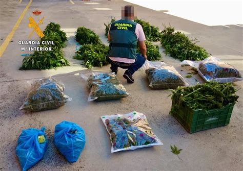 Nuevas Actuaciones De La Guardia Civil Contra El Cultivo De Marihuana