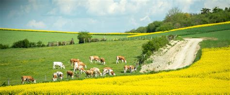 Le Monde Agricole Inquiet La Gazette Nord Pas De Calais