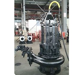 Qw Wqd Portable Electric Submersible Sewage Pump China Pump And