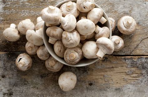 Champignons Lagern Und Aufbewahren So Geht S Richtig