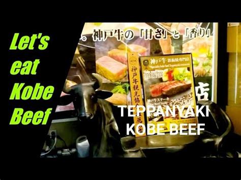 新神戸Lets eat Kobe Wagyu Beef for Dinner YouTube