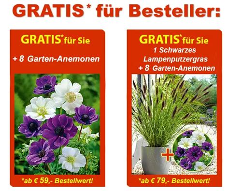 BALDUR Garten Onlineshop Hier Mit Gutschein