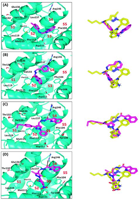 Docking Results Of Synthesized Compounds Within Bcl Protein Target