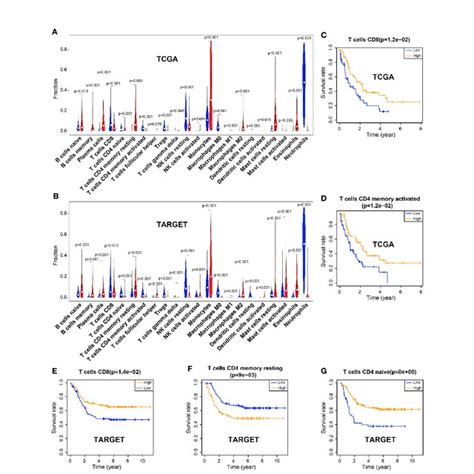 Differences Of Immune Cell Infiltration Between The Tumor And The