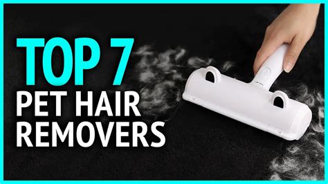 Best Pet Hair Removers 2023 Top 7 Best Pet Hair Remover For Clothes