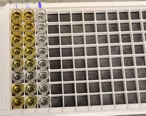 Mouse Ifn Gamma Elisa Kit Quantikine Mif R D Systems