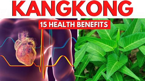 Benepisyo Ng Kangkong Health Benefits Of Kangkong O Water Spinach