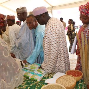 Niger Lancement Officiel De Deux Projets De Fortification Alimentaire