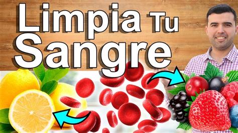 Limpia Tu Sangre Y Elimina Toxinas Cómo Desintoxicar La Sangre