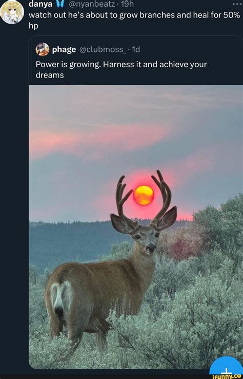 L Integrity You Broke Your Mother S Sex Toy While You Were Trying To Understand What It Was