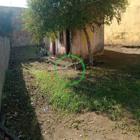 Terreno à Venda bairro Califórnia Cabo Verde Imobiliária