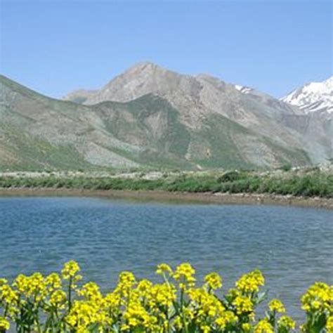 parisa hemmati phd student sari agricultural sciences  natural