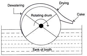 Downstream Processing Steps Biology Notes Online