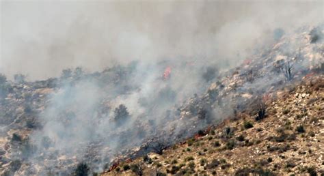 Photos Fire On Mount Lemmon