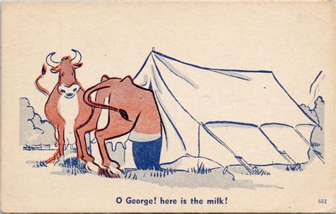 Cows Tent Comic O George Here Is The Milk Cattle Humour Postcard G40