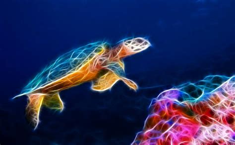 Sea Turtles Desktop Wallpaper - WallpaperSafari