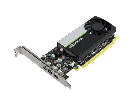 NVIDIA Quadro T400 2GB Graphics Card | lupon.gov.ph