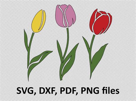 Tulips Svg Tulip Svg Tulip Clipart Tulips Clipart Tulip Etsy