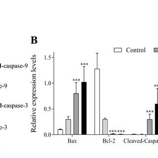 Mtt Viability Assay Of Eedq Lps Viability Of Hela Cells A Hepg