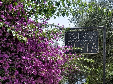 Gallery | Taverna Glyfa
