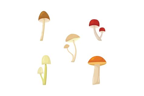 Mushroom Flat Cartoon Graphic By Dewibegja Creative Fabrica