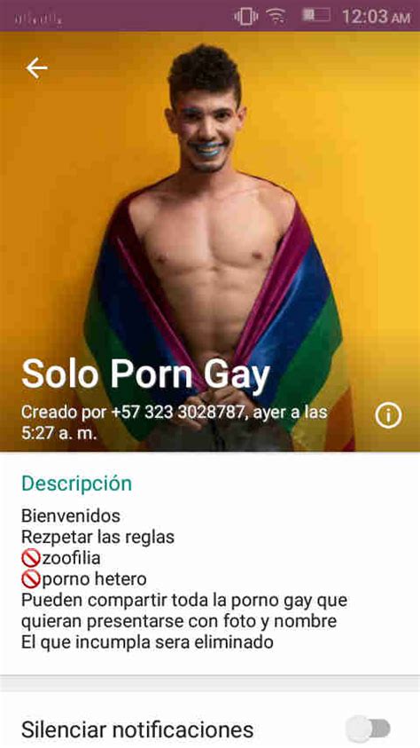 Grupos Gay De Whatsapp De M Xico Gay Groups In Whatsapp Guia Gay