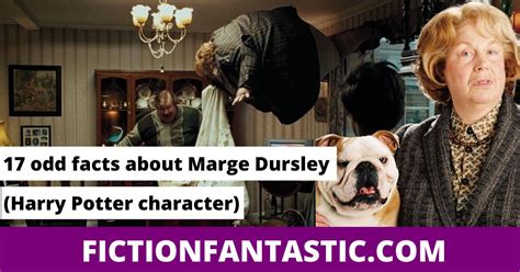 23 Facts About Dudley Dursley (Character, Traits, & Quotes) – Fiction ...