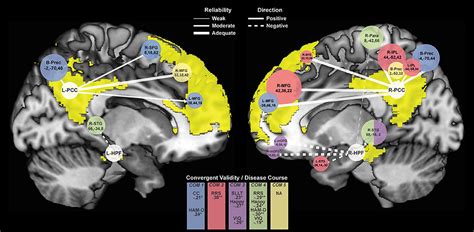 Frontiers Reliability Convergent Validity And Time Invariance Of Default Mode Network