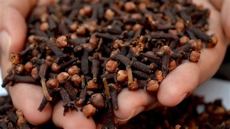 How To Use Cloves For Hair Growth At Home Beauty Tips By Nim