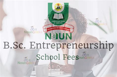 Noun Bsc Entrepreneurship Course Outline And Fees Noungeeks