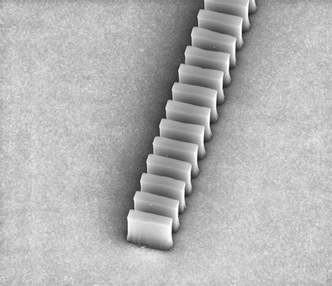 Biochip could detect multiple viruses, cancers, or toxins in minutes ... 