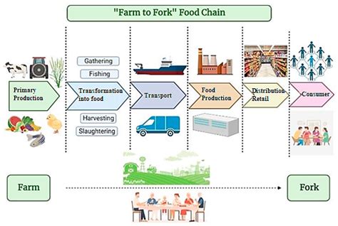 Cell Farm Analogy