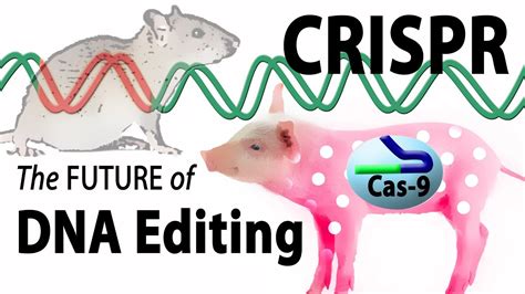 CRISPR Cas9 Animation