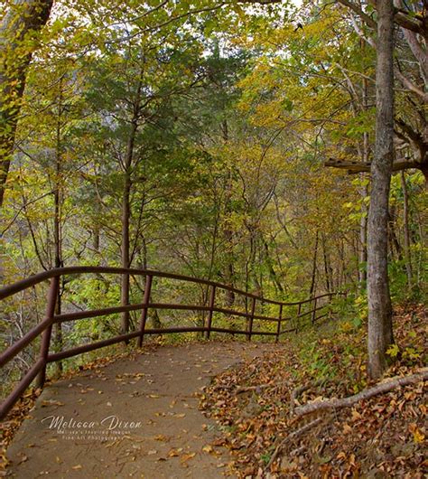 Jackson Falls Natchez Trace