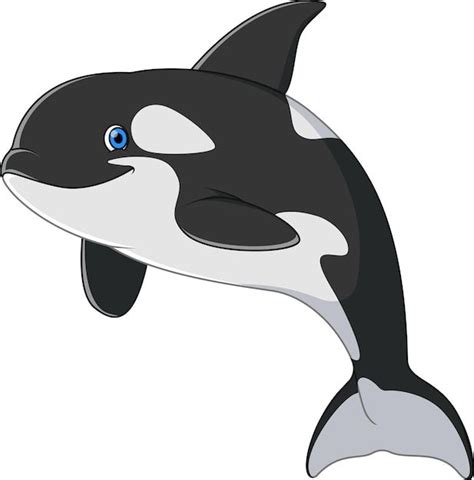 Baleia Orca Nadando E Sorrindo Desenho Animado Vetor Premium