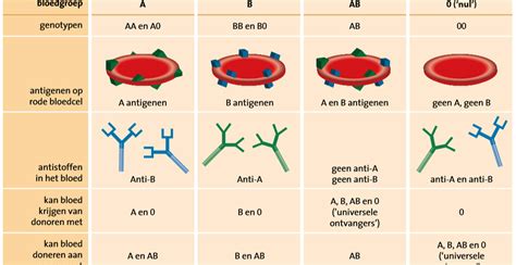 Bloedtransfusie En Afweer Nemo Kennislink